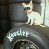 Teacup Chihuahua on Hoosier Tire