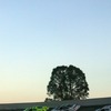 957 T7974 Resize