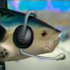 Realistic Fish H.