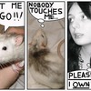 Ratdialogue