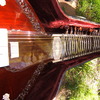 2004 0928 Image0051