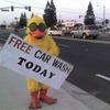 Quick Quack Car Wash Bird 
