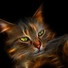 1274999405 Bugaga Funpics 13