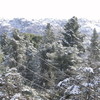 Dsc01551