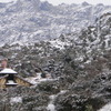 Dsc01659