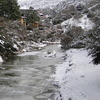 Dsc01681