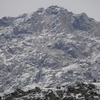 Dsc01684
