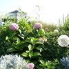 20100819 38