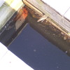 20100819 47