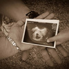 Facebook Baby Profile