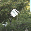20100920 38