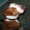 Betty