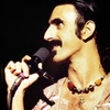 Zappabeadses5