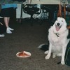 Happy Birthday Max