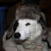 Max N Hat