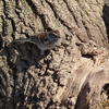 Dscf5764