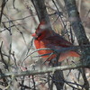 Dscf5761