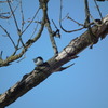 Dscf5757