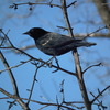Dscf5751