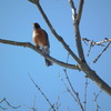 Dscf5750
