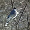 Dscf5749