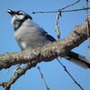 Dscf5746