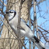 Dscf5742