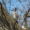 Dscf5740