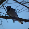 Dscf5739