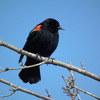 Dscf5738