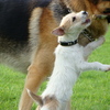 Dsc07257