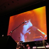 Dsc07699