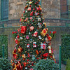 Chistmas Tree Edin