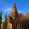 Churchof Stmaria Edinburgh