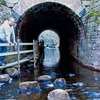 Petervidtunnel