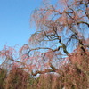 20120323 175
