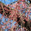 20120323 177