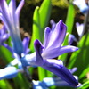 20120323 181