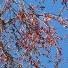 20120323 187