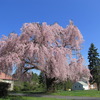 20120323 237
