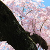 20120323 261