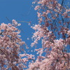 20120323 262