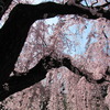 20120323 266