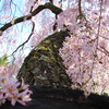 20120323 268