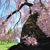 20120323 269