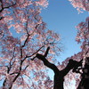 20120323 275
