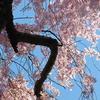20120323 280