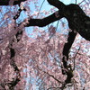 20120323 281