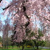 20120323 282