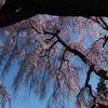 20120323 255